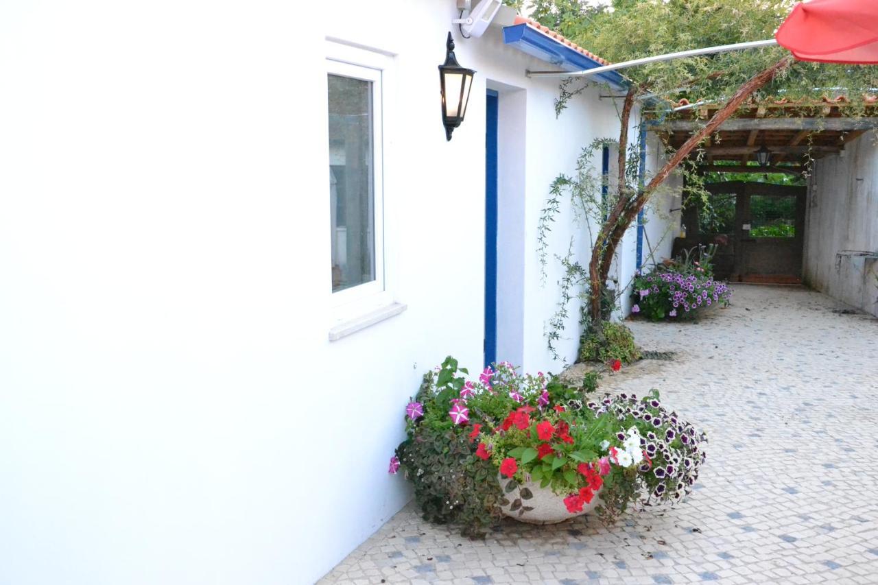 Quinta D'Avo Amelia Bed & Breakfast Alquerubim ภายนอก รูปภาพ