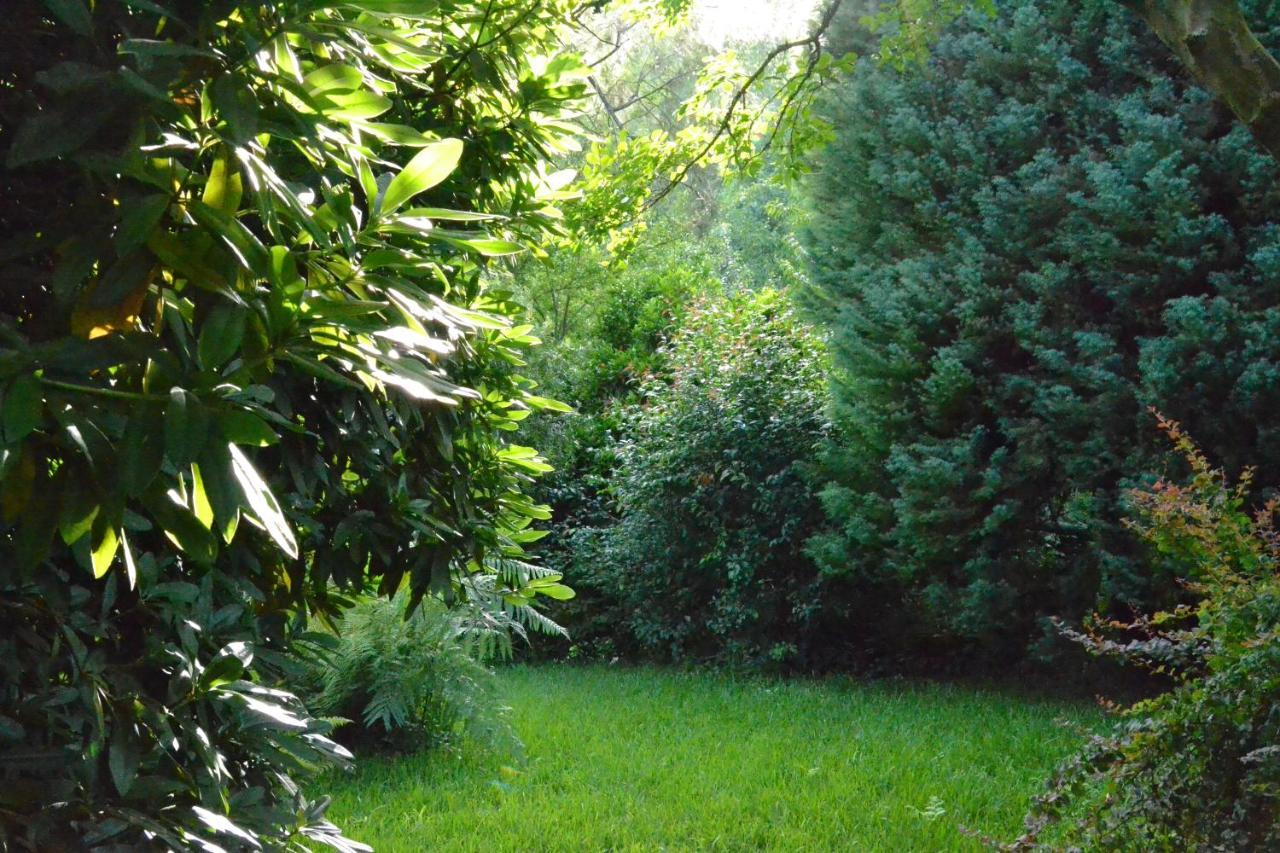 Quinta D'Avo Amelia Bed & Breakfast Alquerubim ภายนอก รูปภาพ