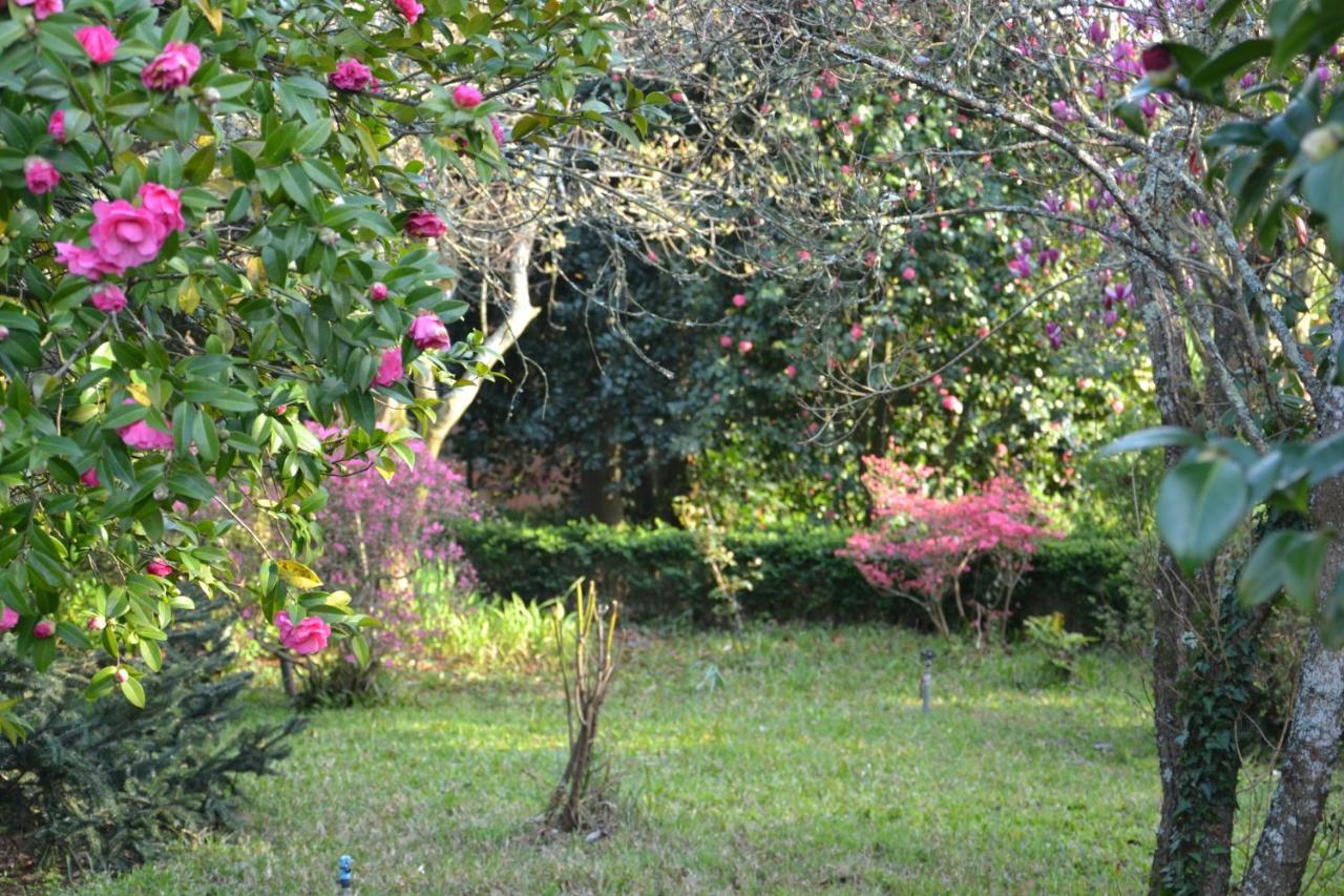 Quinta D'Avo Amelia Bed & Breakfast Alquerubim ภายนอก รูปภาพ