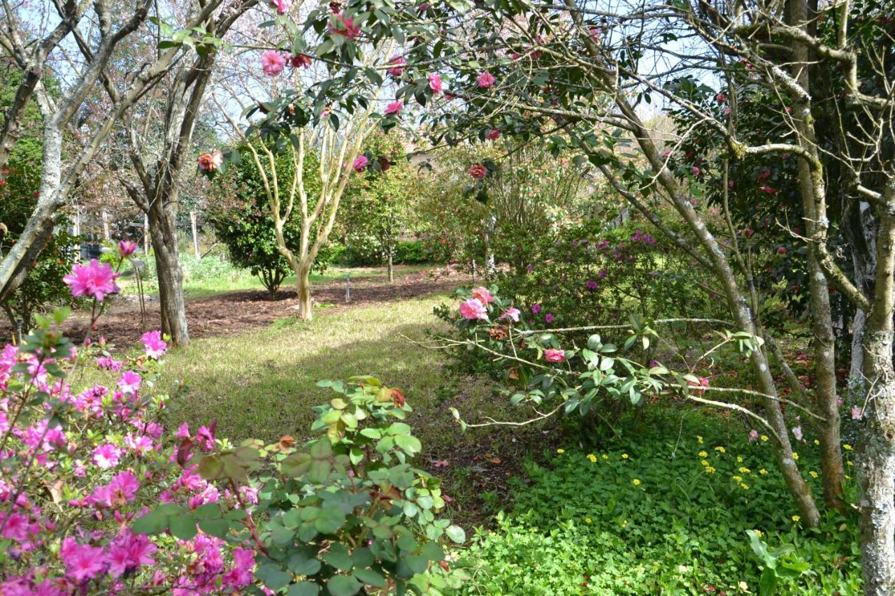 Quinta D'Avo Amelia Bed & Breakfast Alquerubim ภายนอก รูปภาพ