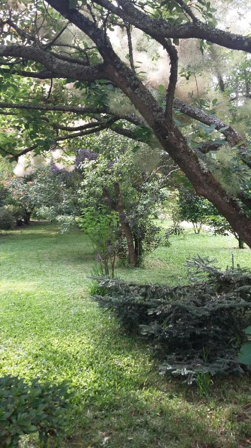 Quinta D'Avo Amelia Bed & Breakfast Alquerubim ภายนอก รูปภาพ