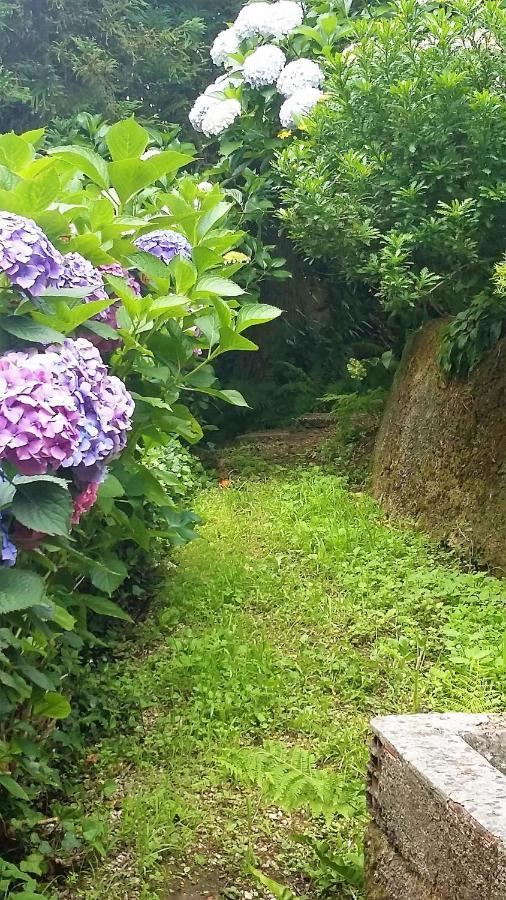 Quinta D'Avo Amelia Bed & Breakfast Alquerubim ภายนอก รูปภาพ
