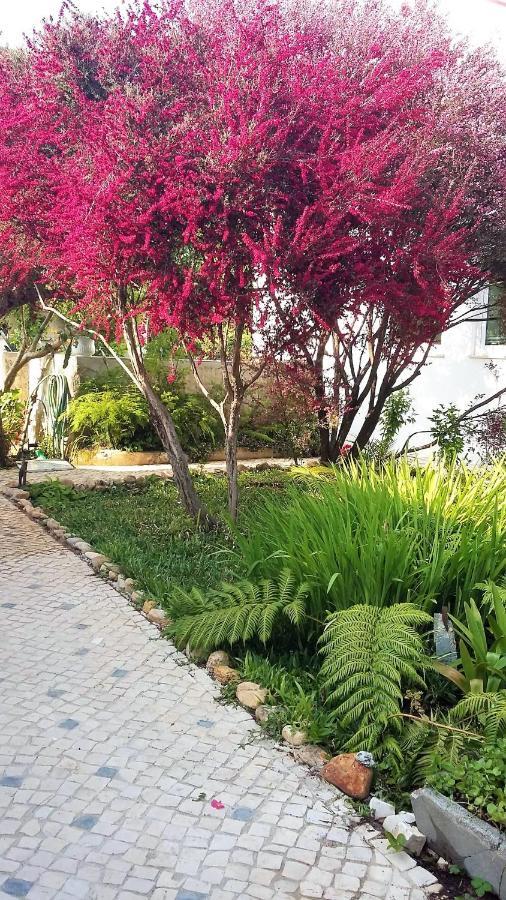 Quinta D'Avo Amelia Bed & Breakfast Alquerubim ภายนอก รูปภาพ