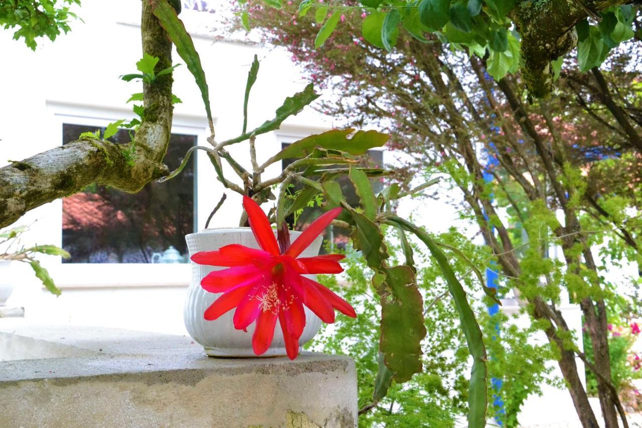 Quinta D'Avo Amelia Bed & Breakfast Alquerubim ภายนอก รูปภาพ