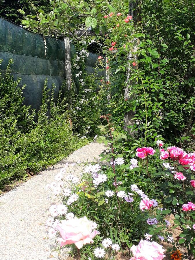 Quinta D'Avo Amelia Bed & Breakfast Alquerubim ภายนอก รูปภาพ