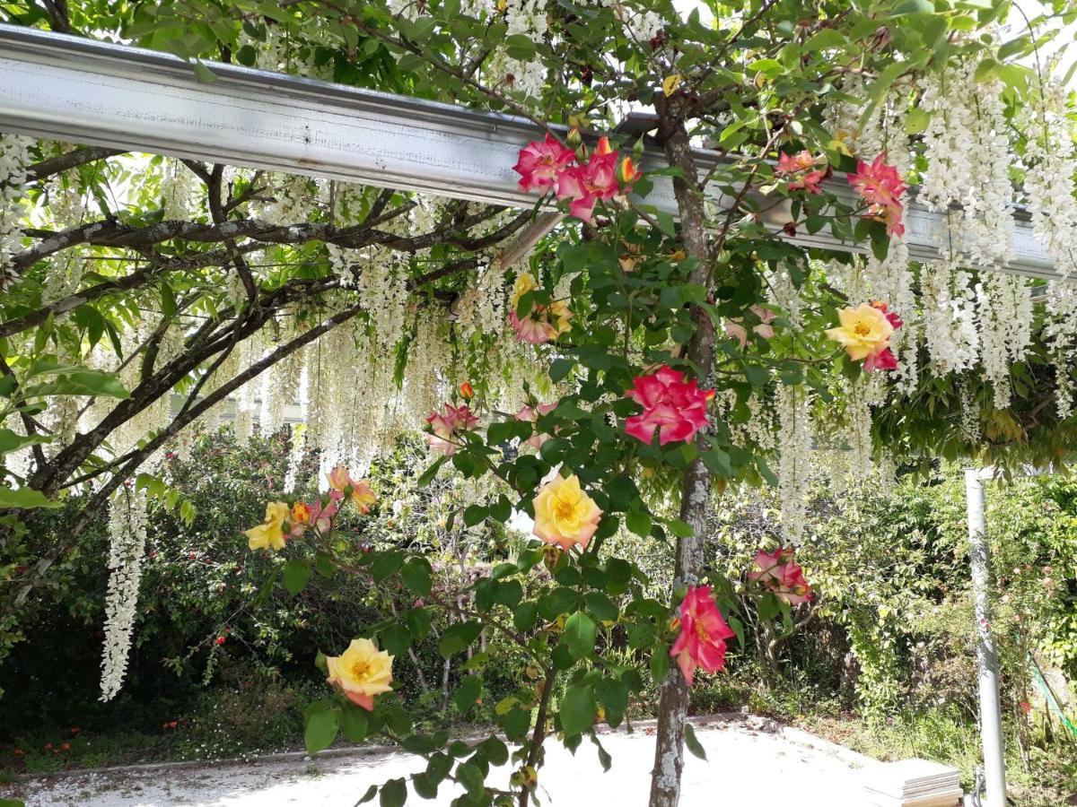 Quinta D'Avo Amelia Bed & Breakfast Alquerubim ภายนอก รูปภาพ