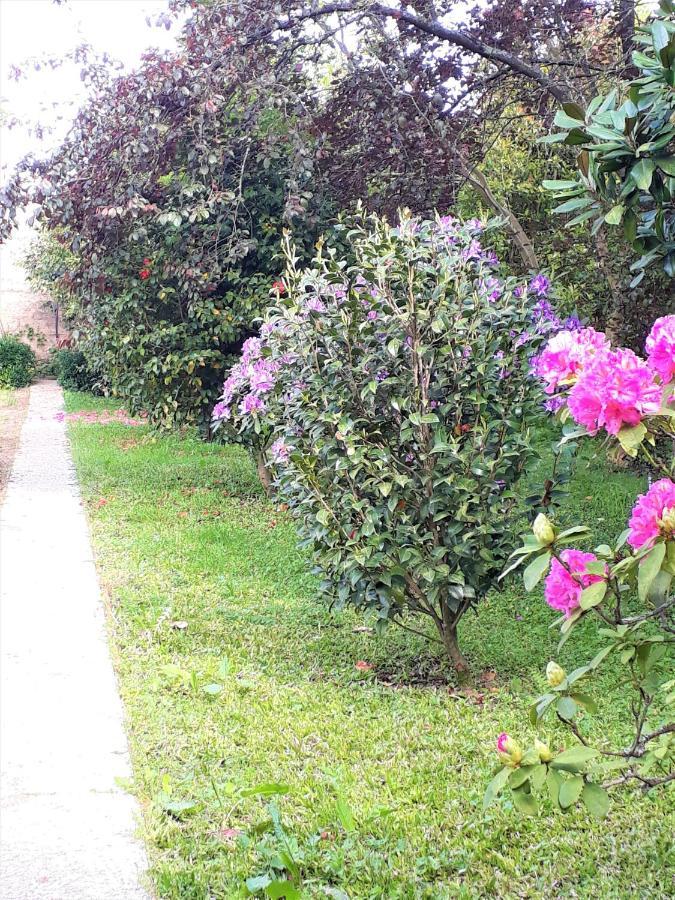 Quinta D'Avo Amelia Bed & Breakfast Alquerubim ภายนอก รูปภาพ
