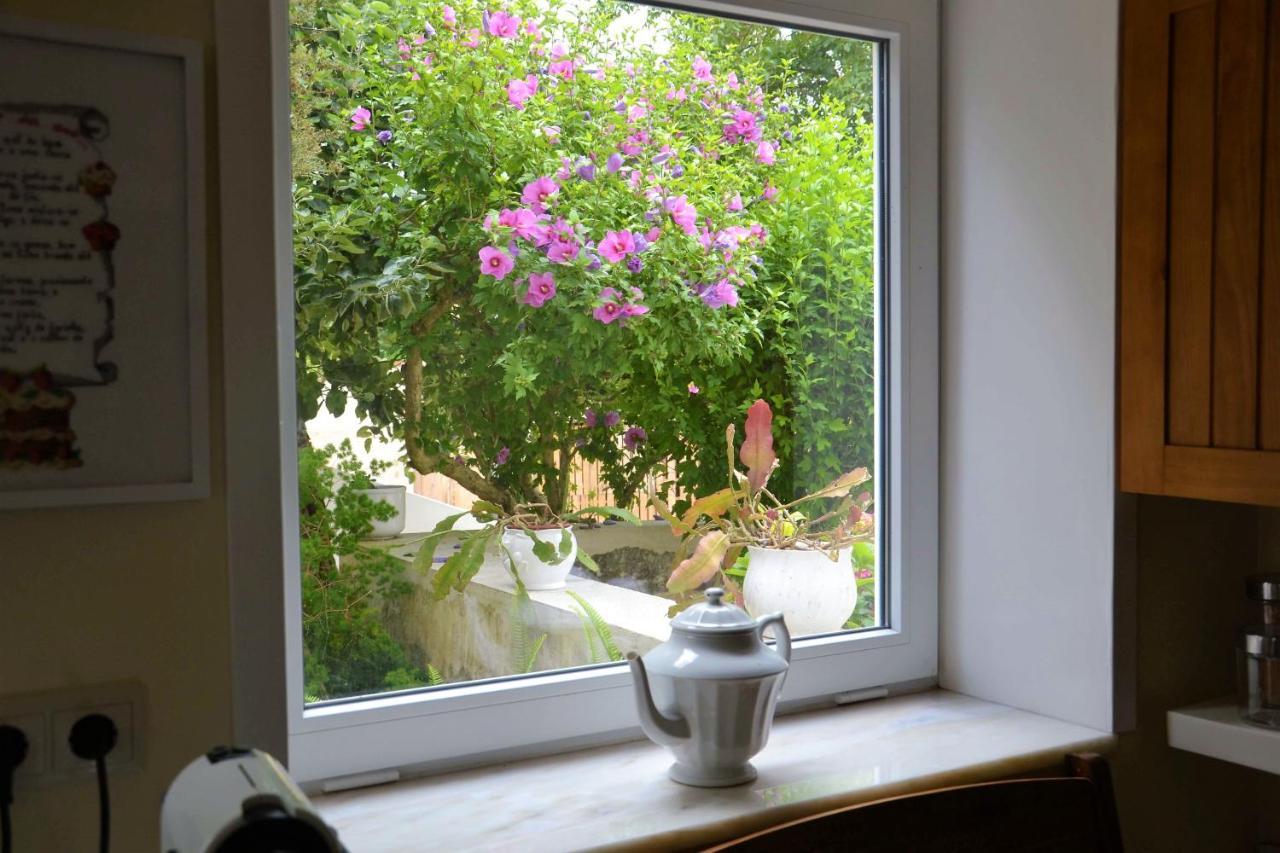 Quinta D'Avo Amelia Bed & Breakfast Alquerubim ภายนอก รูปภาพ