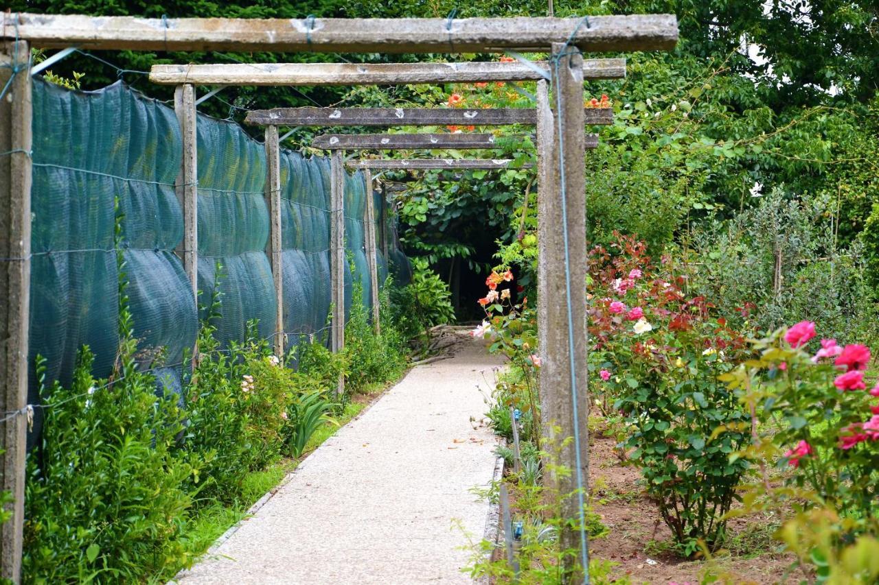 Quinta D'Avo Amelia Bed & Breakfast Alquerubim ภายนอก รูปภาพ