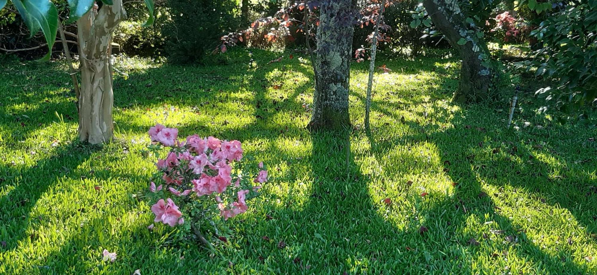 Quinta D'Avo Amelia Bed & Breakfast Alquerubim ภายนอก รูปภาพ